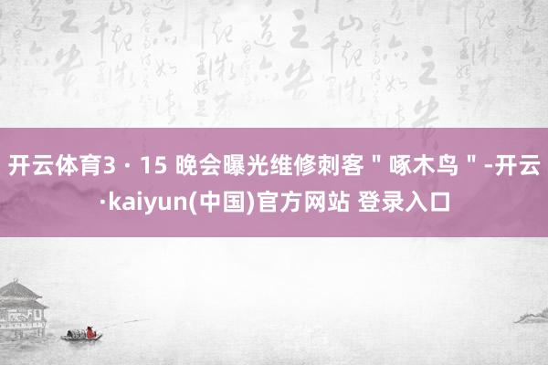 开云体育3 · 15 晚会曝光维修刺客＂啄木鸟＂-开云·kaiyun(中国)官方网站 登录入口