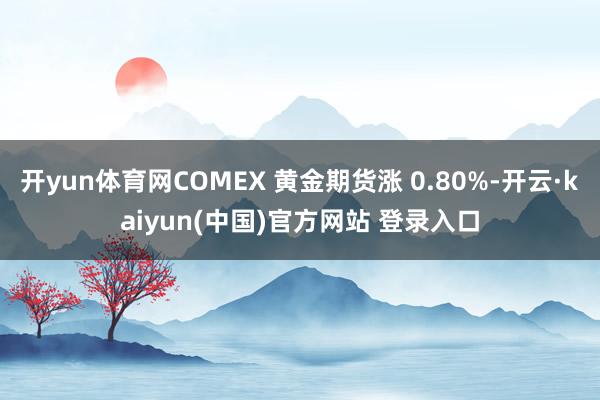 开yun体育网COMEX 黄金期货涨 0.80%-开云·kaiyun(中国)官方网站 登录入口