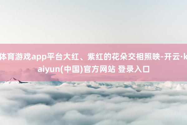 体育游戏app平台大红、紫红的花朵交相照映-开云·kaiyun(中国)官方网站 登录入口