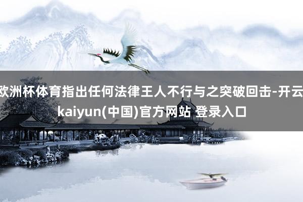 欧洲杯体育指出任何法律王人不行与之突破回击-开云·kaiyun(中国)官方网站 登录入口