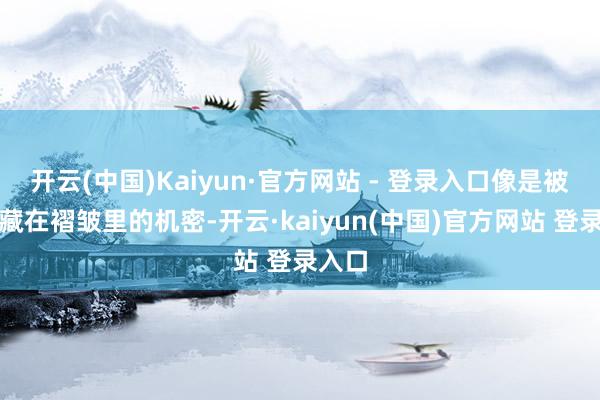 开云(中国)Kaiyun·官方网站 - 登录入口像是被天主藏在褶皱里的机密-开云·kaiyun(中国)官方网站 登录入口