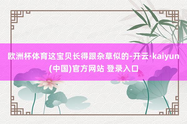 欧洲杯体育这宝贝长得跟杂草似的-开云·kaiyun(中国)官方网站 登录入口