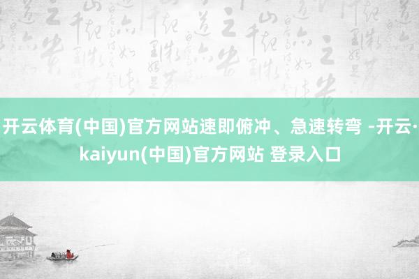 开云体育(中国)官方网站速即俯冲、急速转弯 -开云·kaiyun(中国)官方网站 登录入口