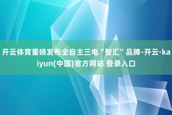 开云体育重磅发布全自主三电“智汇”品牌-开云·kaiyun(中国)官方网站 登录入口