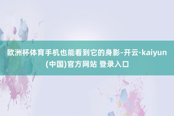 欧洲杯体育手机也能看到它的身影-开云·kaiyun(中国)官方网站 登录入口