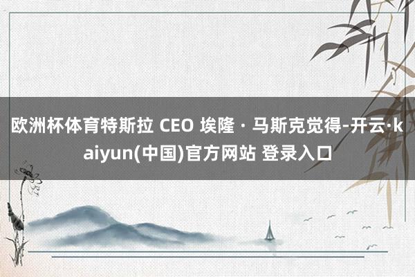 欧洲杯体育特斯拉 CEO 埃隆 · 马斯克觉得-开云·kaiyun(中国)官方网站 登录入口
