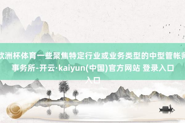 欧洲杯体育一些聚焦特定行业或业务类型的中型管帐师事务所-开云·kaiyun(中国)官方网站 登录入口