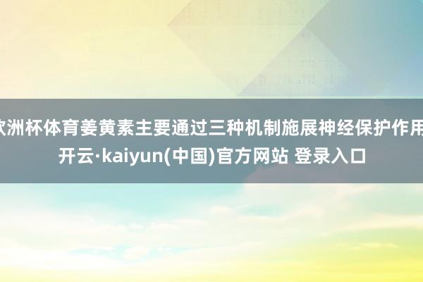 欧洲杯体育姜黄素主要通过三种机制施展神经保护作用-开云·kaiyun(中国)官方网站 登录入口