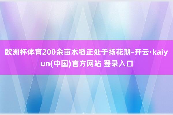 欧洲杯体育200余亩水稻正处于扬花期-开云·kaiyun(中国)官方网站 登录入口