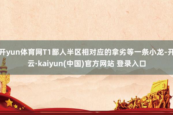开yun体育网T1鄙人半区相对应的拿劣等一条小龙-开云·kaiyun(中国)官方网站 登录入口 开yun体育网T1鄙人半区相对应的拿劣等一条小龙-开云·kaiyun(中国)官方网站 登录入口