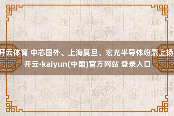 开云体育 中芯国外、上海复旦、宏光半导体纷繁上扬-开云·kaiyun(中国)官方网站 登录入口