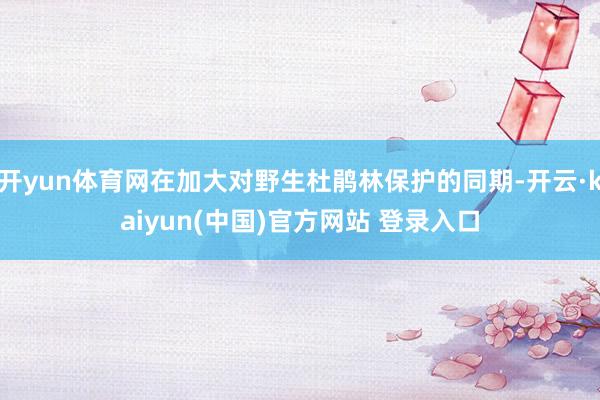 开yun体育网在加大对野生杜鹃林保护的同期-开云·kaiyun(中国)官方网站 登录入口