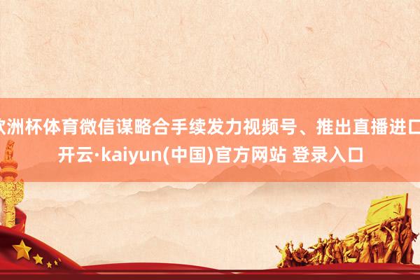 欧洲杯体育微信谋略合手续发力视频号、推出直播进口-开云·kaiyun(中国)官方网站 登录入口