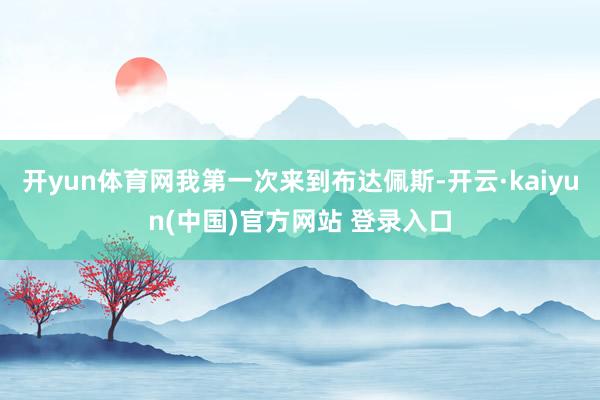 开yun体育网我第一次来到布达佩斯-开云·kaiyun(中国)官方网站 登录入口