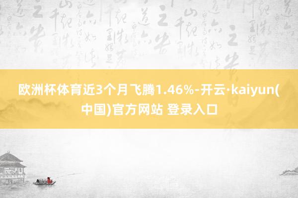 欧洲杯体育近3个月飞腾1.46%-开云·kaiyun(中国)官方网站 登录入口