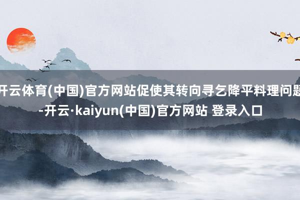 开云体育(中国)官方网站促使其转向寻乞降平料理问题-开云·kaiyun(中国)官方网站 登录入口