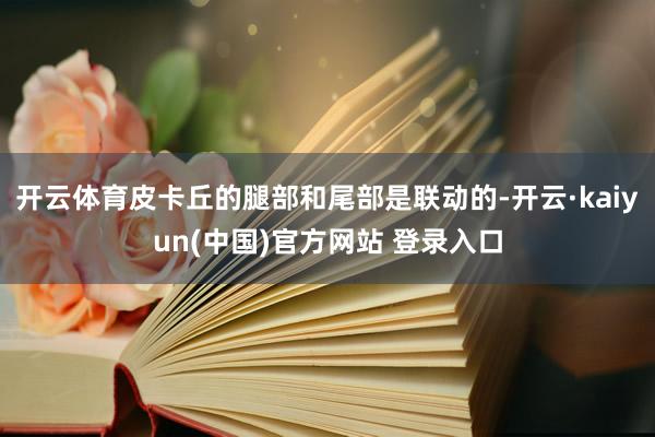 开云体育皮卡丘的腿部和尾部是联动的-开云·kaiyun(中国)官方网站 登录入口