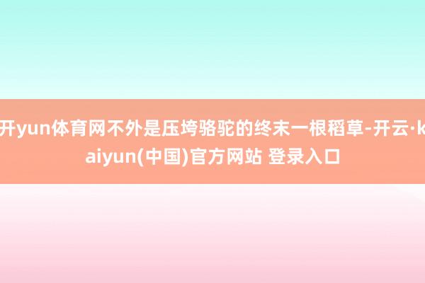 开yun体育网不外是压垮骆驼的终末一根稻草-开云·kaiyun(中国)官方网站 登录入口