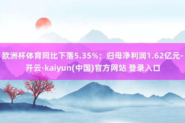 欧洲杯体育同比下落5.35%；归母净利润1.62亿元-开云·kaiyun(中国)官方网站 登录入口