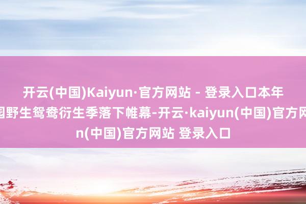 开云(中国)Kaiyun·官方网站 - 登录入口本年夏天兆麟公园野生鸳鸯衍生季落下帷幕-开云·kaiyun(中国)官方网站 登录入口