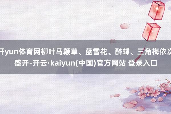 开yun体育网柳叶马鞭草、蓝雪花、醉蝶、三角梅依次盛开-开云·kaiyun(中国)官方网站 登录入口