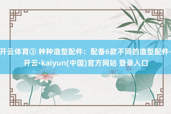 开云体育③ 种种造型配件：配备6款不同的造型配件-开云·kaiyun(中国)官方网站 登录入口